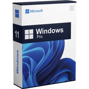 Win11 Pro